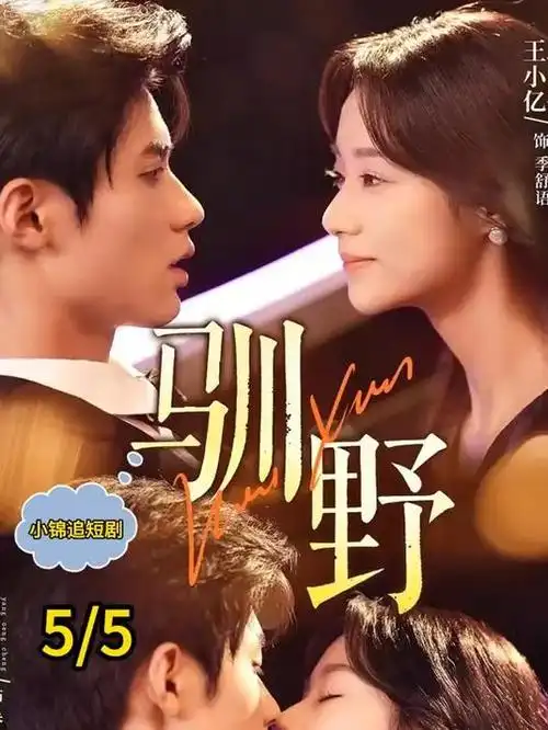 第七号证人刑侦电视剧全集在线观看